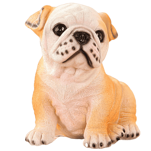 Fransız Bulldog Para Kutusu