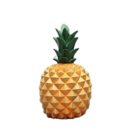 Ananas Para Kutusu