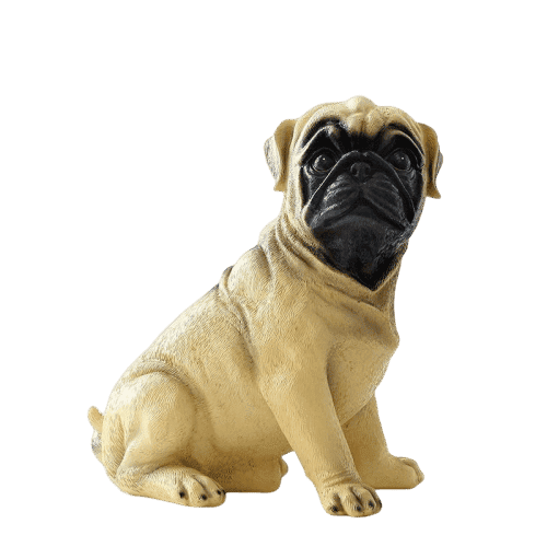Pug Para Kutusu