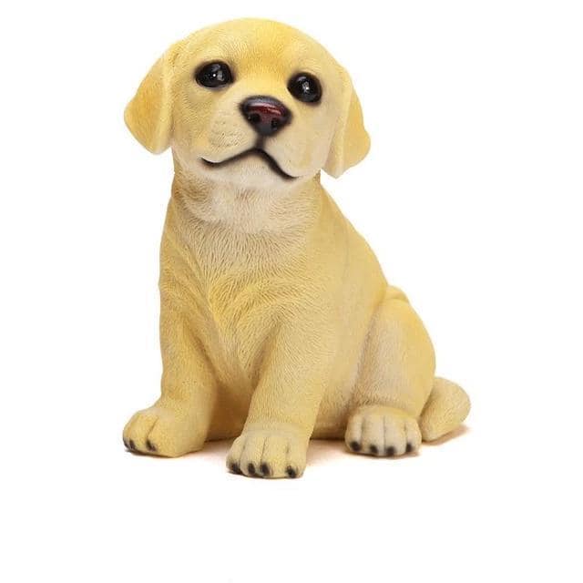 Sevimli Köpek Para Kutusu