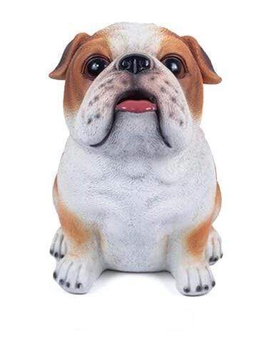 Köpek Para Kutusu