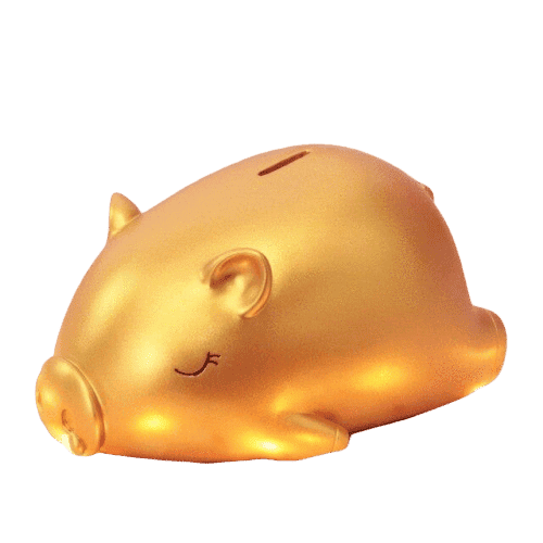 Zany Domuz Kumbarasi