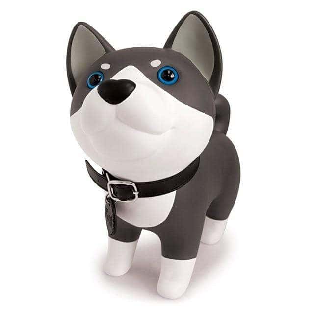 Husky Para Kutusu