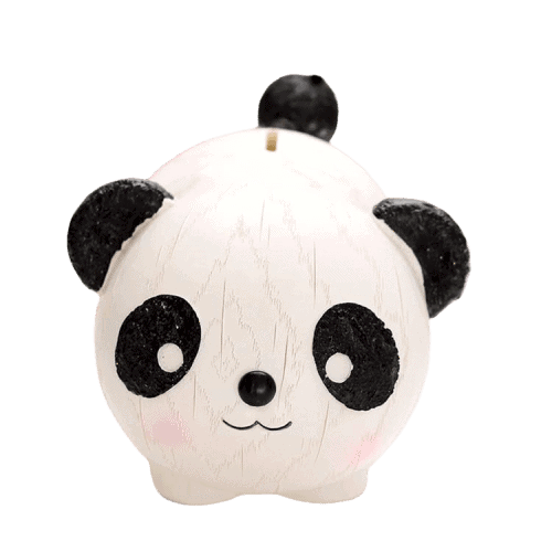 Plasti̇K Panda Para Kutusu